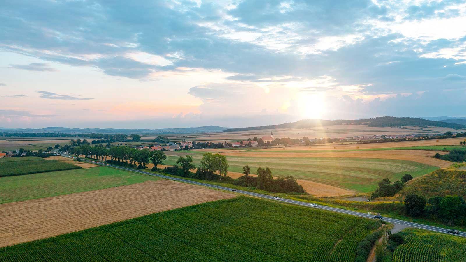 Master of Science in Environmental Policy