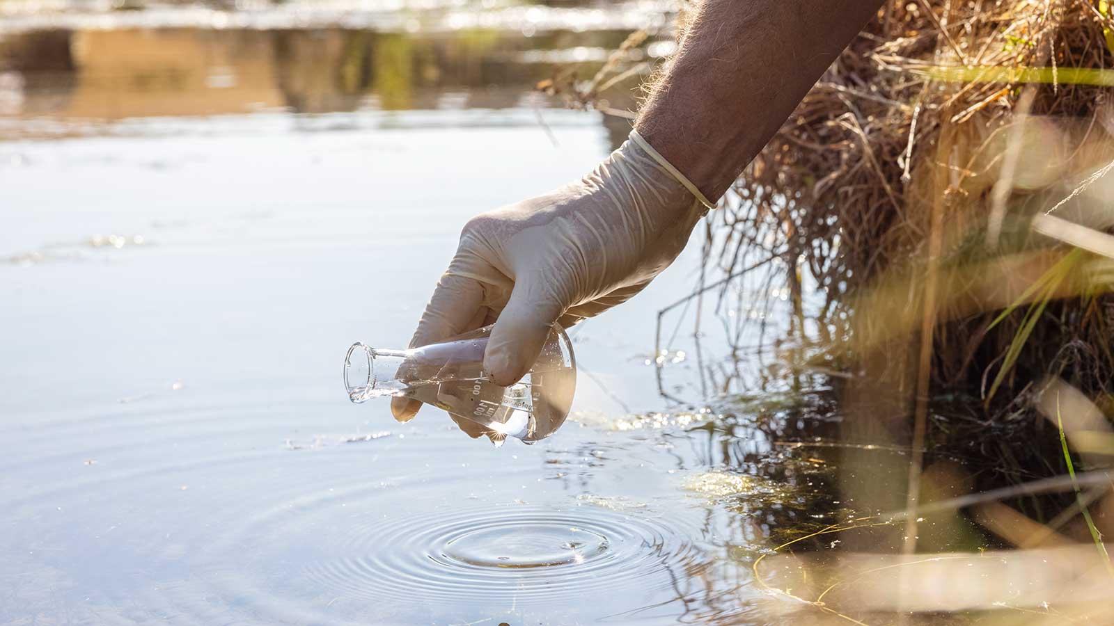 Environmental Science and Sustainability Major